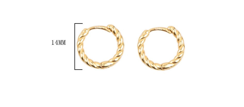 Korean S925 pure silver earrings